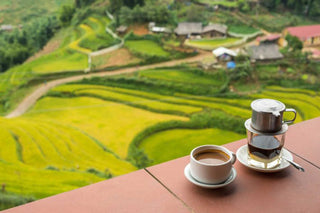 Caffè nel mondo: come si beve il caffè in Vietnam - Filicori Zecchini Italia