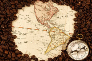 Storia e origini del caffè, bevanda amata in tutto il mondo - Filicori Zecchini Italia