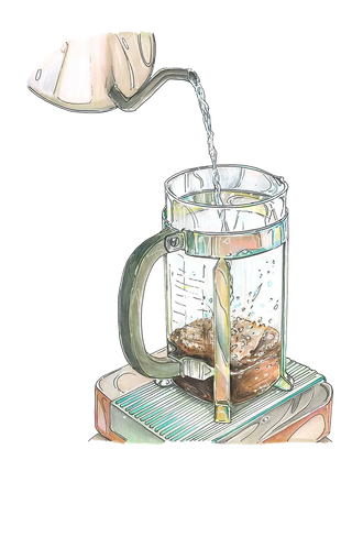 Disegno che illustra il versamento dell'acqua calda nella caffettiera french press.