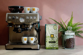 Macchina caffè espresso Sage - Sacchetto da 340g di Arcadia caffè in chicchi - Vaso in vetro con chicchi di caffè tostati e pianta di felce.