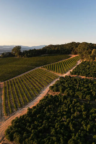 Fazenda Rio Verde in Brasile