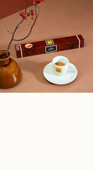 Tubo capsule Nespresso compatibili in alluminio Gran Cru Etiopia con tazzina espresso Filicori Zecchini.
