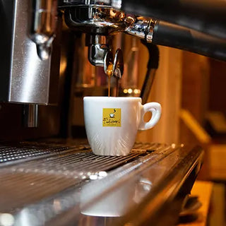 Estrazione caffè espresso con tazzina Filicori Zecchini