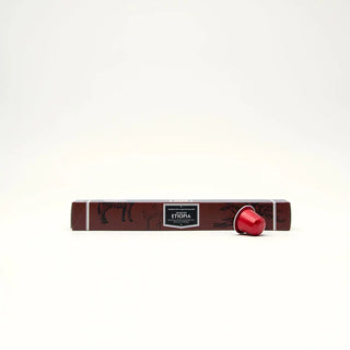 Capsule Grand Cru Etiopia per Nespresso Alluminio, confezione elegante by Filicori Zecchini.