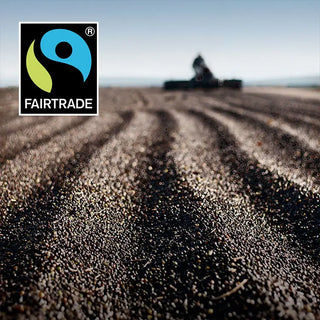 Fotografia con caffè verde steso a essicare al sole in base al metodo naturale con logo FAIRTRADE.