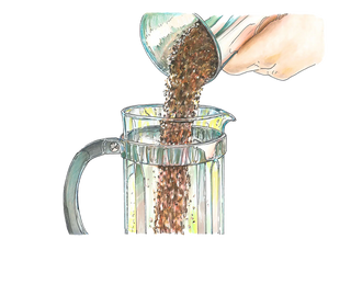 Disegno che illustra il versamento del caffè in polvere nella caffettiera french press.