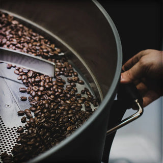 Vasca di raffreddamento del caffè di una macchina tostarice per specialty.